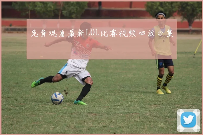 免费观看最新LOL比赛视频回放合集